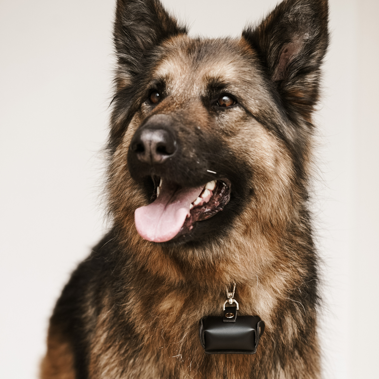 Dog Ring Pouch Clip in Black