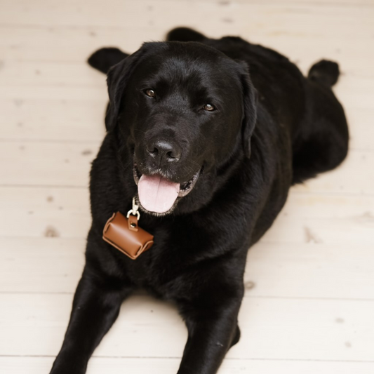 Dog Ring Pouch Clip in Tan