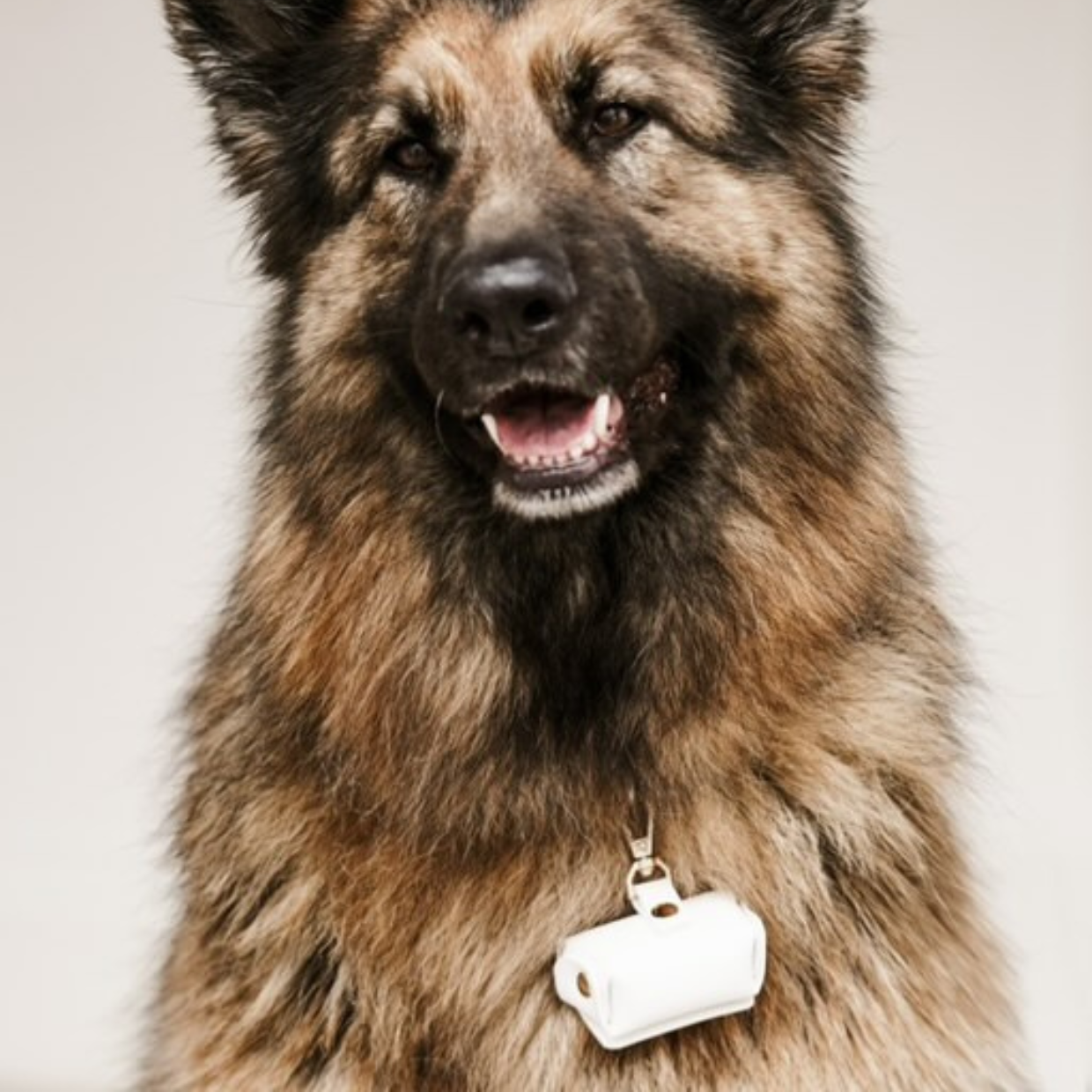 Dog Ring Pouch Clip in White